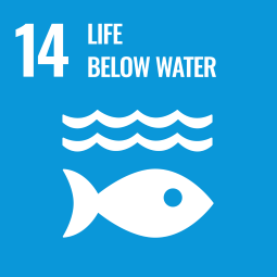UN Sustanability Development Goal 14 - Life Below Water